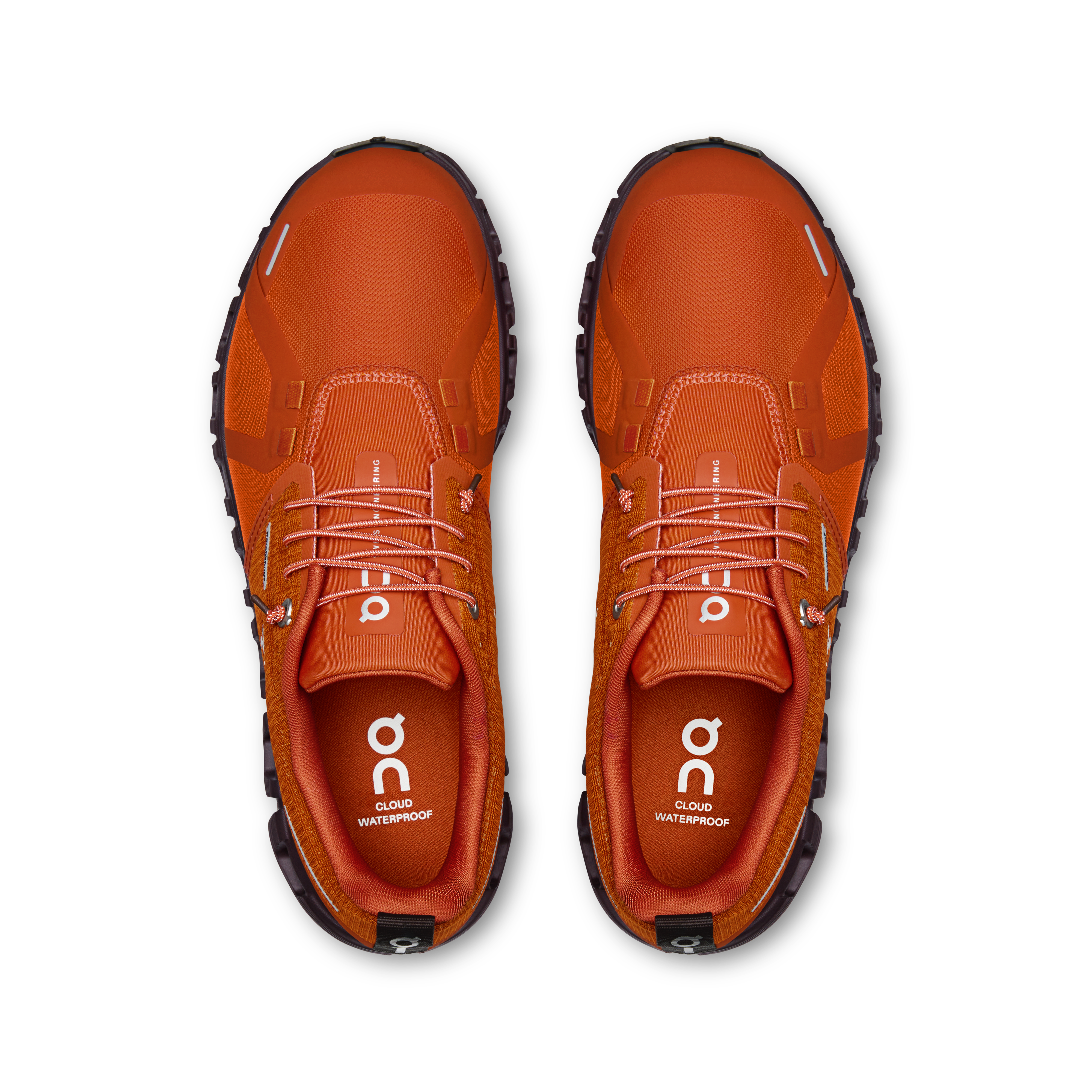 On Cloud 6 Waterproof Cinnamon & Ox Women Active life Shoes