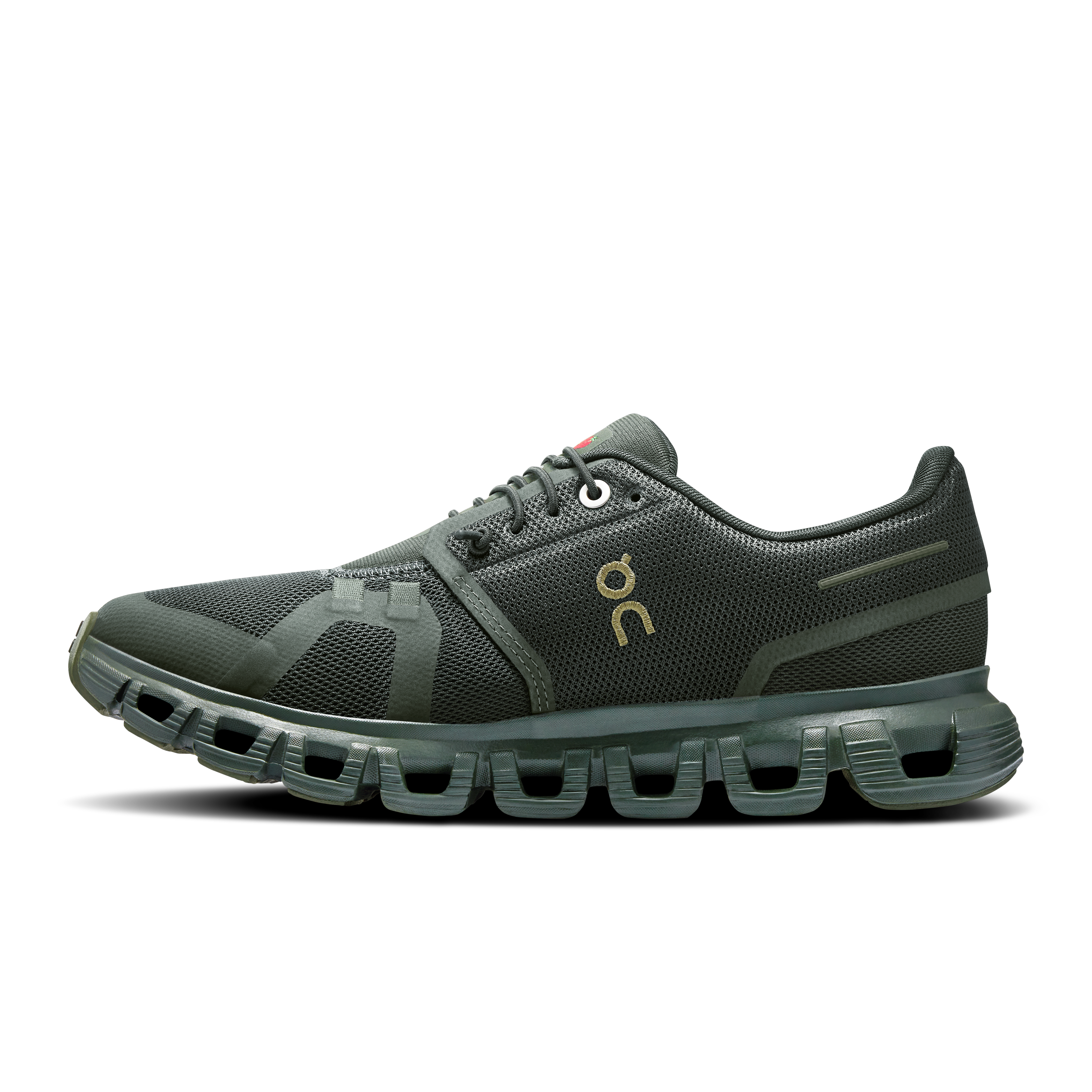 On Cloud 6 SHF Fir & Fir Women Active life Shoes