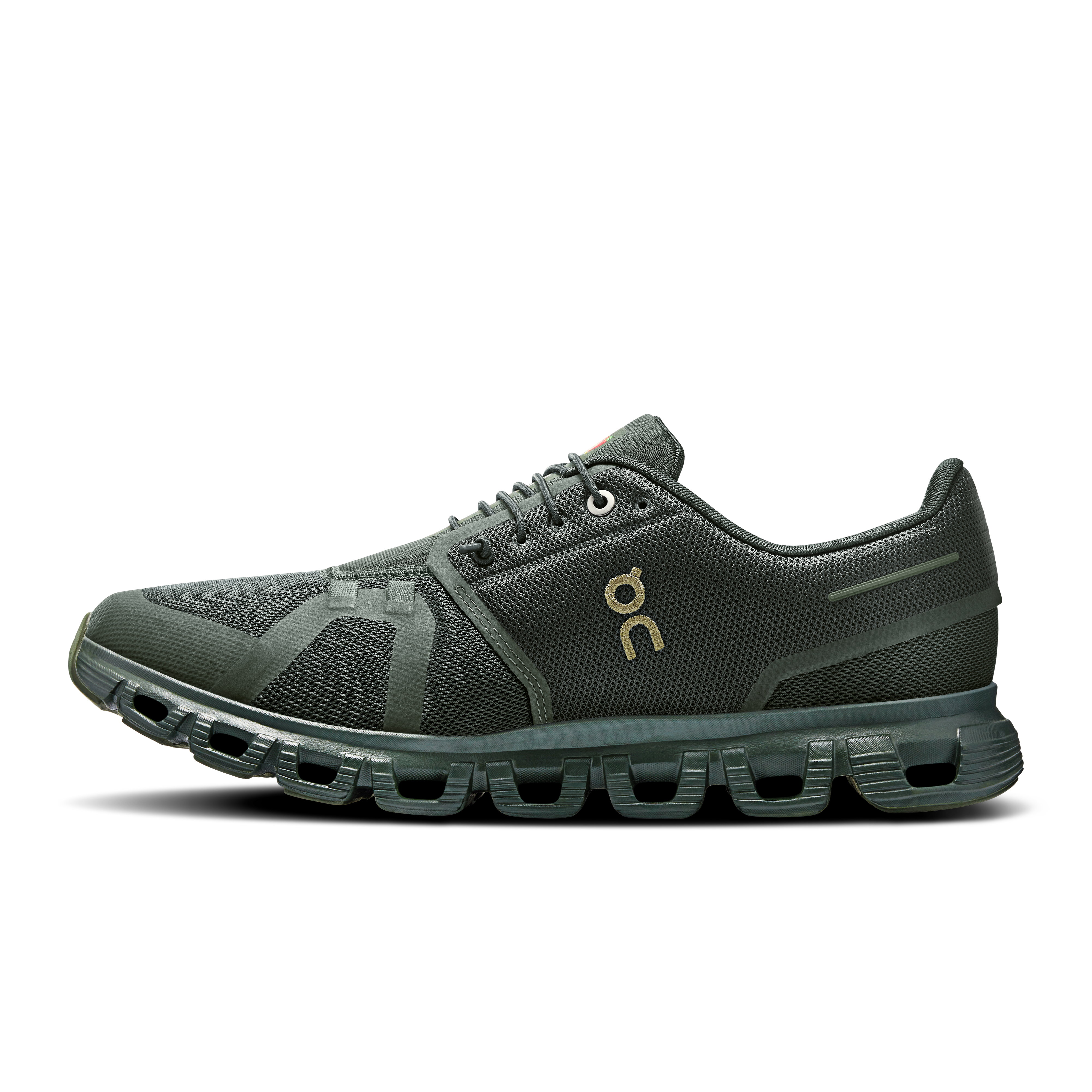 On Cloud 6 SHF Fir & Fir Men Active life Shoes