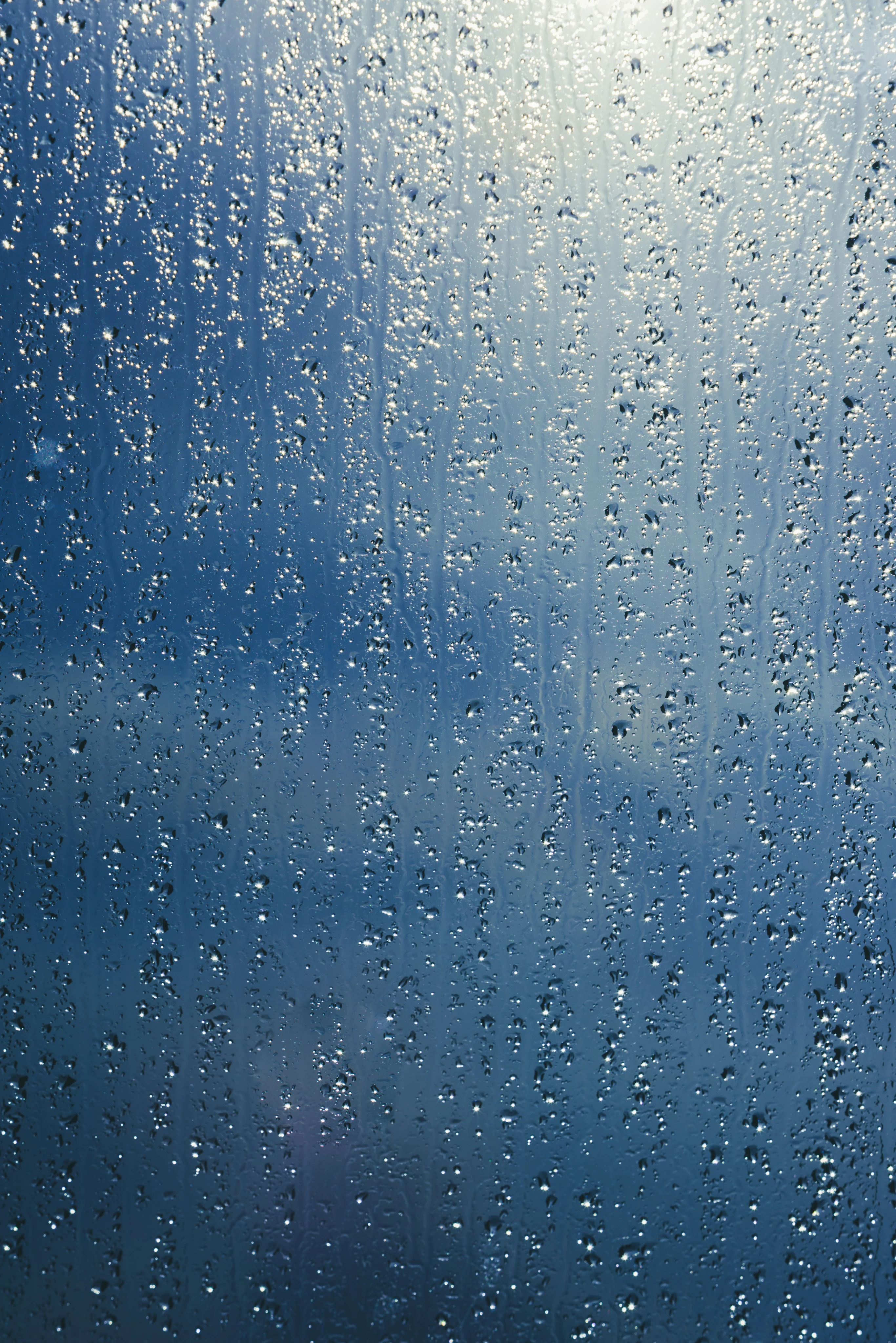 Raindrops on a pane of glass illuminated by sunlight from behind.