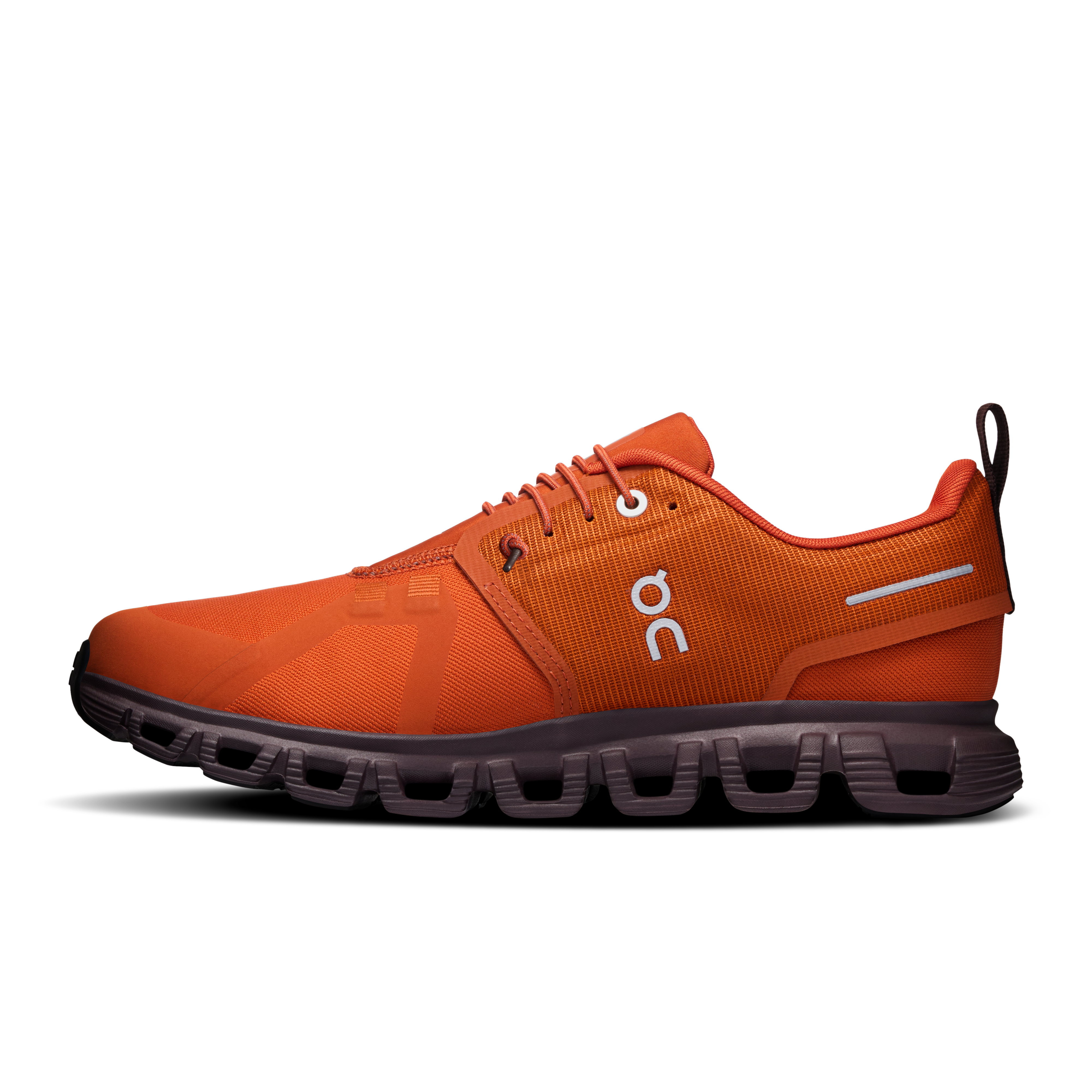 On Cloud 6 Waterproof Cinnamon & Ox Women Active life Shoes
