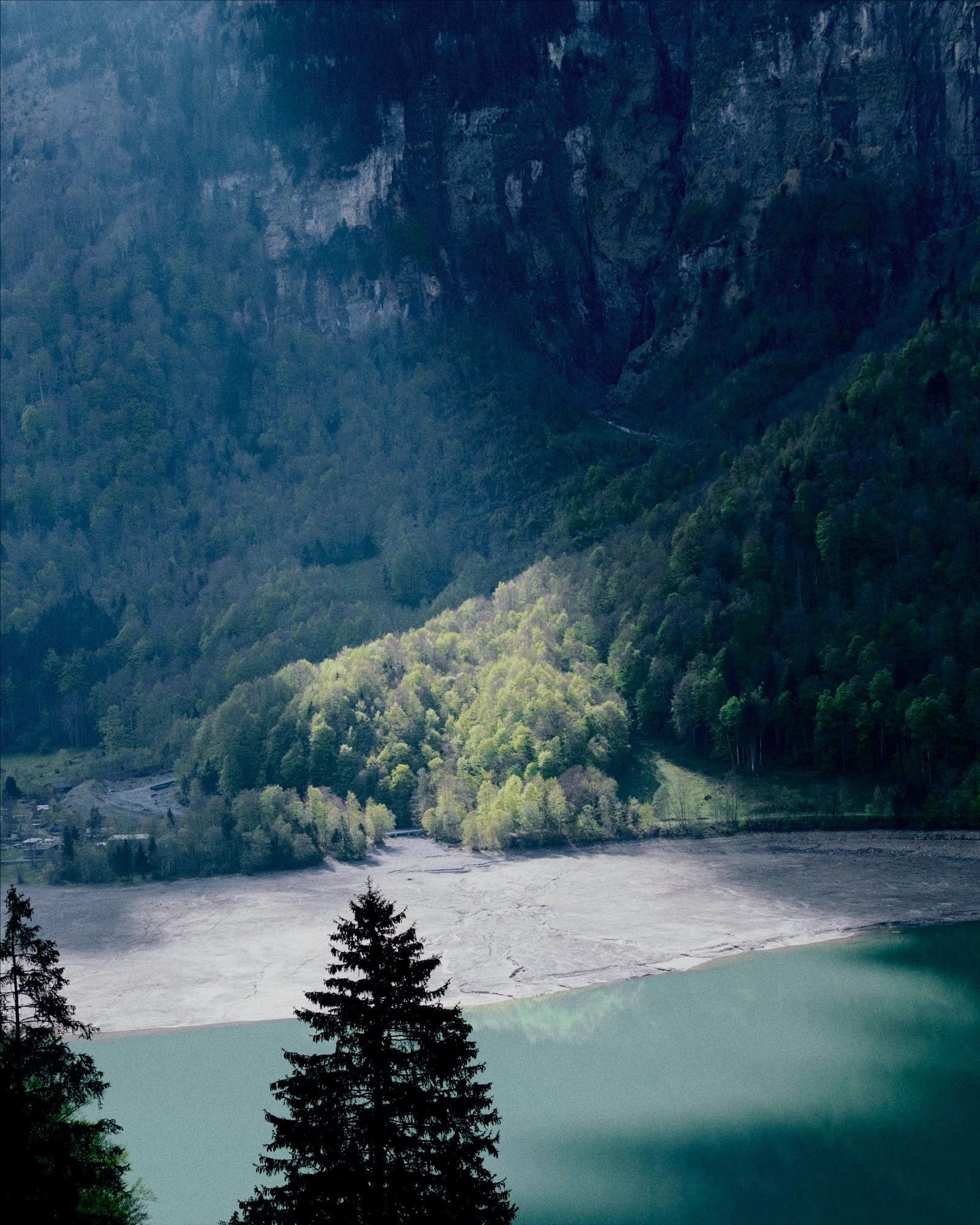 Sun shining on a river with a forested mountain in the background.